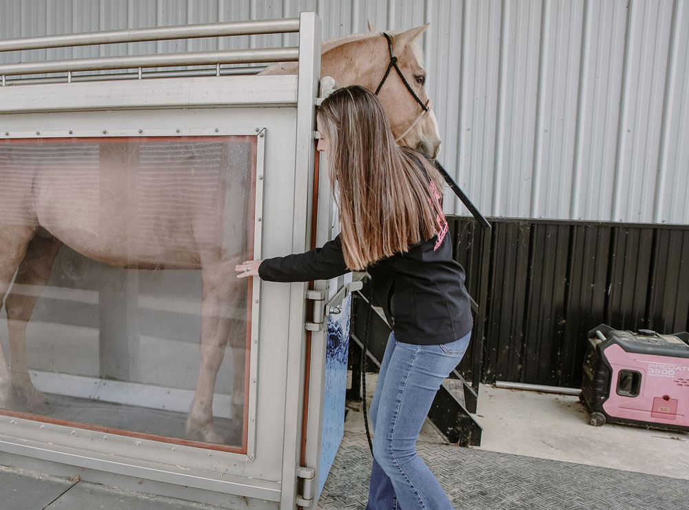 Amanda Morgan, de Morgan Dairy Performance Horses, con una chaqueta negra, conduce un caballo palomino hacia una cámara de terapia.